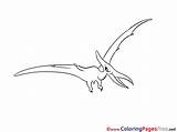 Pterodactyl Printable Coloring Sheets Pages Dinosaurs Sheet Title sketch template