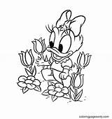 Duck Daisy sketch template