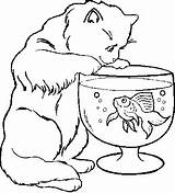 Coloring Pages Cat Funny Fish sketch template