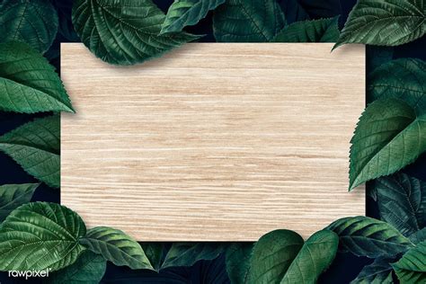 blank wooden board   metallic green leaves textured background