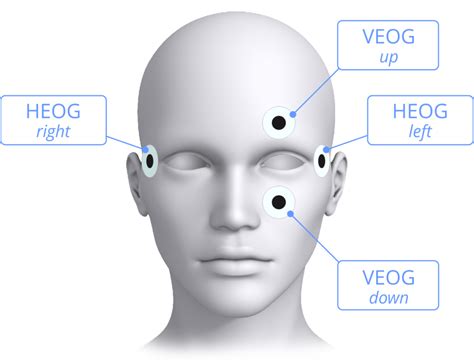 ecgeogemg biosignals recording mitsar neurodiagnostics electroencephalography eeg