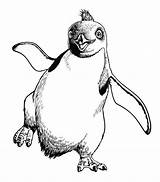 Pinguins Pinguim Marcadores sketch template