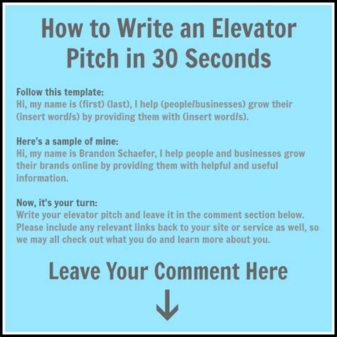 elevator pitch examples  students