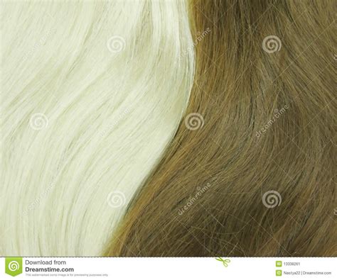 Blond And Black Hair As Texture Background Stock Image