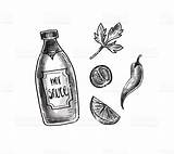 Sauce Bottle Istockphoto sketch template