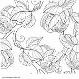 Coloring Pages Adults Flower Exotic Garden Printable Adult Print Look Other sketch template