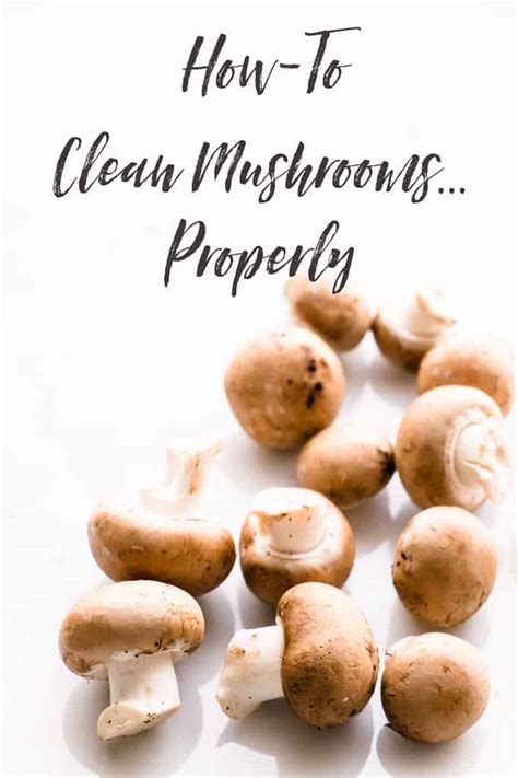 clean mushrooms properly salted mint
