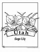 Coloring Utah State Pages Flower Oklahoma Flowers History University Getcolorings Sheets Patterns Utes Kids Printable Color Sego Lily Jr Getdrawings sketch template