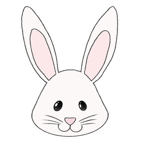 draw  bunny face step  step drawing tutorial