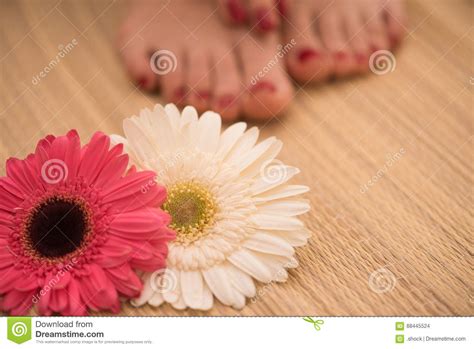 female feet  hands  spa salon stock photo image  pampering