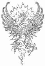 Coloring Phoenix Pages Cannabis Tattoo Printable Adult Coloriage Outline Colouring Mandala Shining Sun Background Adults Firebird Du Designlooter Dessin Tattooimages sketch template