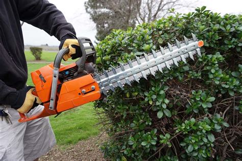 clip  trim hedge trimming attachment granberg
