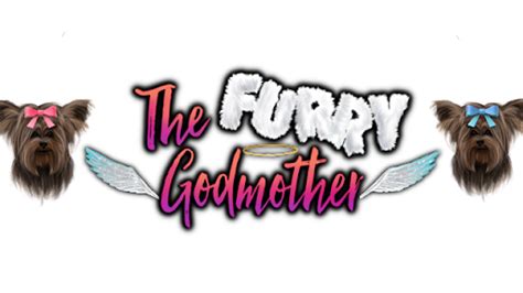 furry tails spa pet groomer  mableton