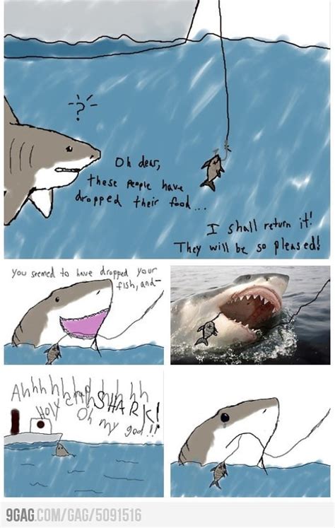 Misunderstood Shark Again Sharks Funny Shark Memes Misunderstood Shark