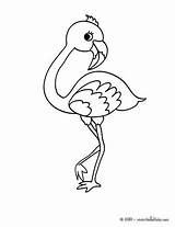 Flamingo Coloring Pages Cute Drawing Print Baby Kids Animal Color Heart Hellokids Simple Printable Colouring Bird Flaming Template Kawaii Outs sketch template