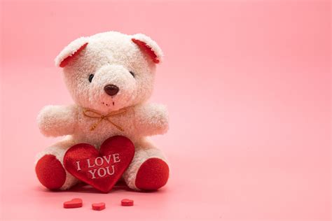 valentines day teddy bears  investigation vox