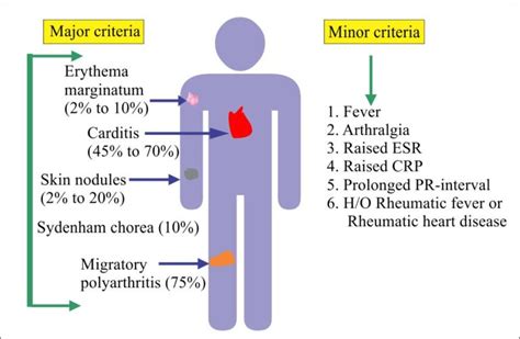 chapter  autoimmune diseases rheumatic fever labpedianet