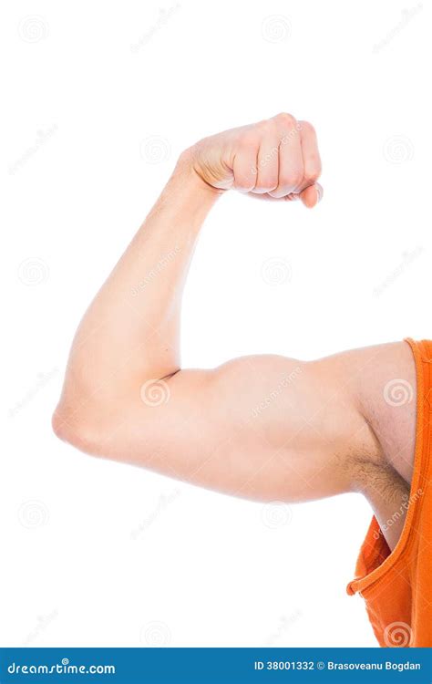 strong arm  white stock photography image