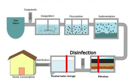 steps  water purification process  biology notes