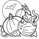 Coloring Pumpkin Cat Halloween Pages Printable Patch Color Cute Kids Fall Print Colouring Preschool Drawing Thanksgiving Sheets Bat Wwe Scary sketch template