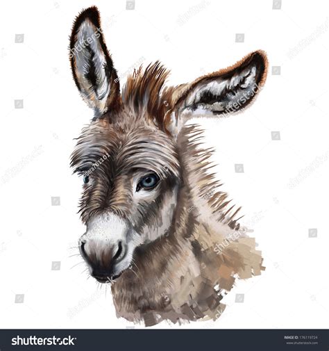 donkey head digital painting donkey head stock illustration