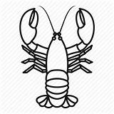 Lobster Crayfish Outline Line Drawing Icon Clipart Gourmet Cancer Food Clipartmag Getdrawings sketch template