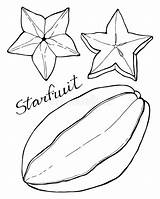 Fruit Cartoon Starfruit Drawing Carambola Doodle Fruits Drawn Hand Illustration Vector Preview Plant sketch template