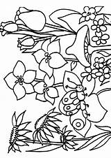 Paesaggi Primaverili Pianetabambini Primavera Paesaggio Primaverile Adulti Articolo 123coloringpages sketch template