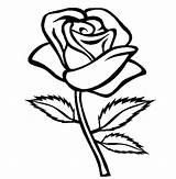 Rose Coloring Bud Pages Getcolorings Color Printable sketch template