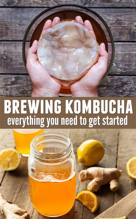 brewing kombucha 8 things you need to get started happy mothering