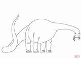 Diplodocus Coloring Pages Printable Drawing Comments sketch template