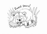 Raccoon Coloring Sleeping Baby Drawing Rachel Getdrawings sketch template