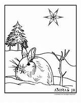 Coloring Pages Winter Bunny Animals Animal Christmas Snowy Clipart Snow Kids Print Drawing Snowshoe Color Printable Printables Clip Jr Cliparts sketch template