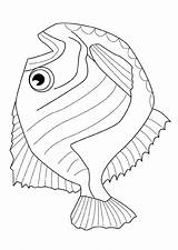 Vissen Dieren Animaatjes Pages sketch template