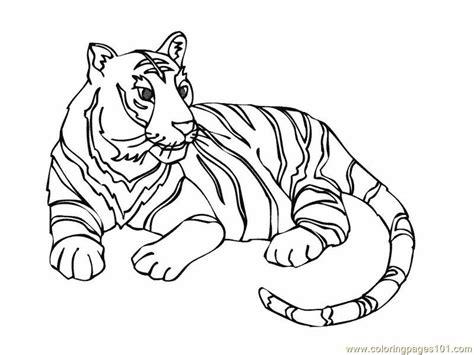 tiger pictures  kids coloring home