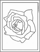 Coloring Rose Simple Pages Color Name Printable Other Template Any Pdf Themes Ll Projects Use Colorwithfuzzy sketch template