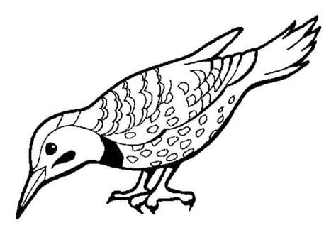 bird coloring pages bird coloring pages animal coloring pages