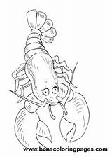 Coloring Lobster Sheet sketch template