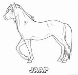 Jaap Kleurplaten Paard sketch template