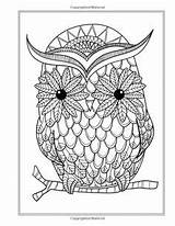 Coloring Owl Adult Books sketch template