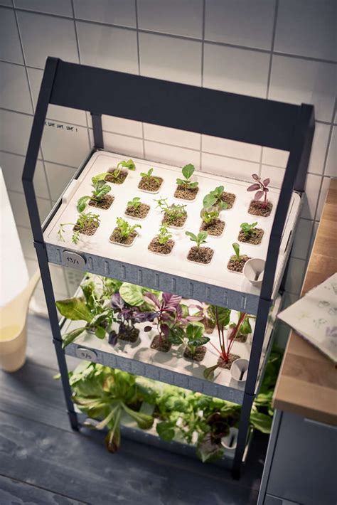 ikea  hydroponic countertop garden kit gardenista
