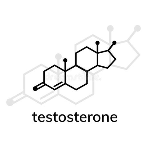 vector testosterone and estrogene structure banner illustration set