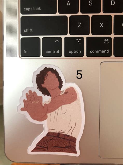 shawn mendes stickers  etsy