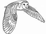 Owl Flying Barn Coloring Pages Realistic Drawing Printable Cartoon Tawny Eule Owls Schleiereule Color Getdrawings Gemerkt Von Coloringpages Malvorlage Vorlage sketch template