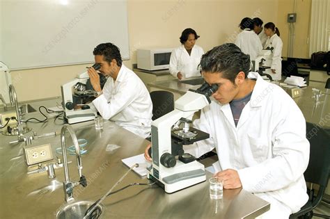 biology class mexico stock image h460 0498 science photo library