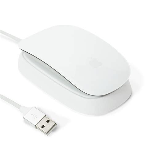 apple wireless mouse charger ubicaciondepersonascdmxgobmx