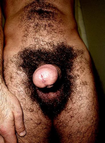 very hairy men pubes bobs and vagene