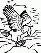 Eagle Coloring Pages sketch template
