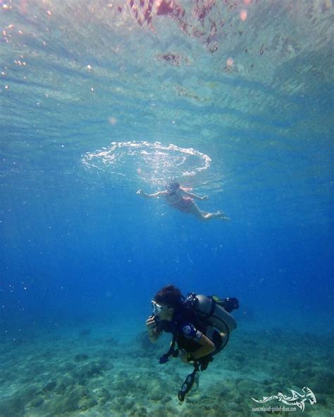 discovering   beauty   underwaterworld  curacao today scuba scubadiving fun