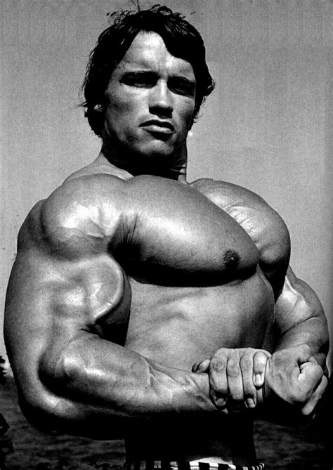 arnold schwarzenegger bodybuilding picture celebrity